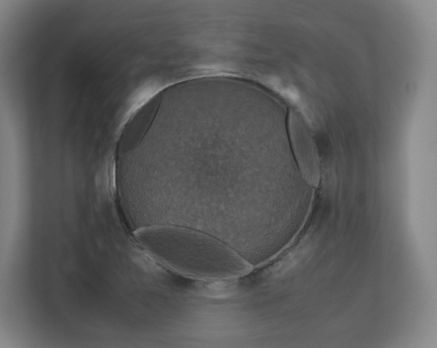 X0000113111365200909041237