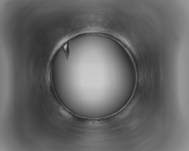 X0000113111366200909041237