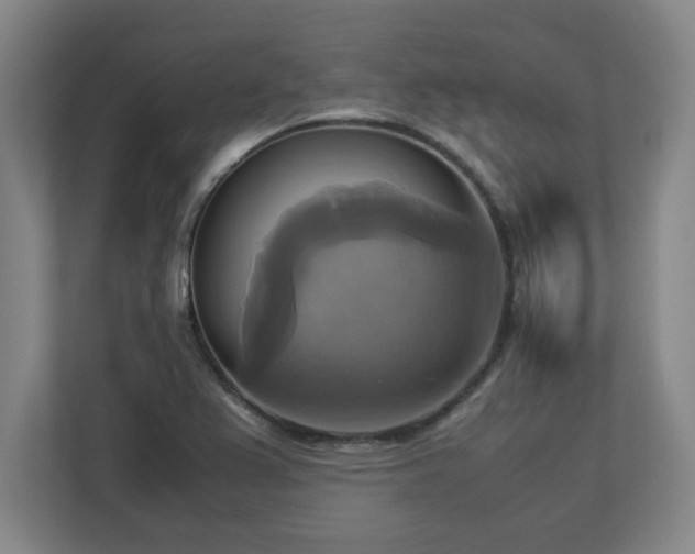 X0000113111367200909041237