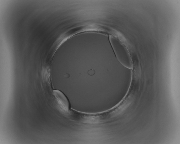 X0000113111369200909041237