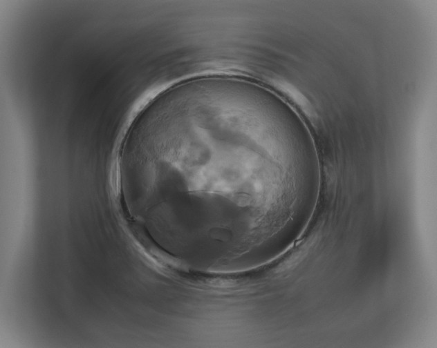 X0000113111371200909041237