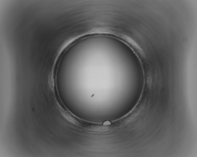 X0000113111372200909041237