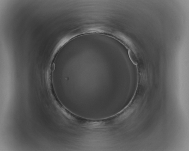 X0000113111373200909041237