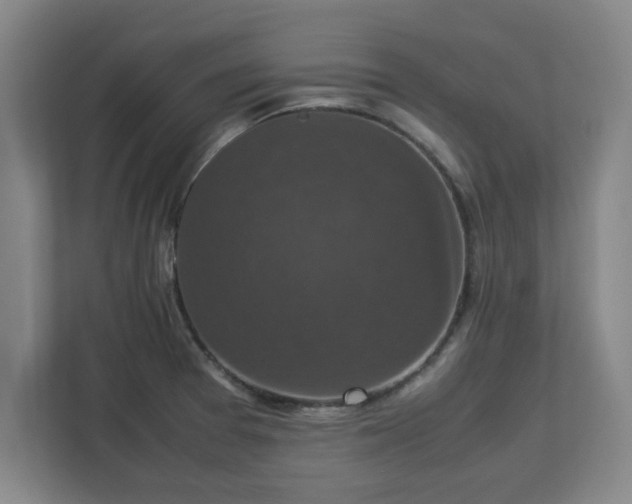 X0000113111377200909041237