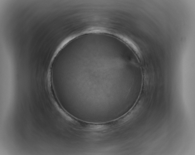 X0000113111382200909041237