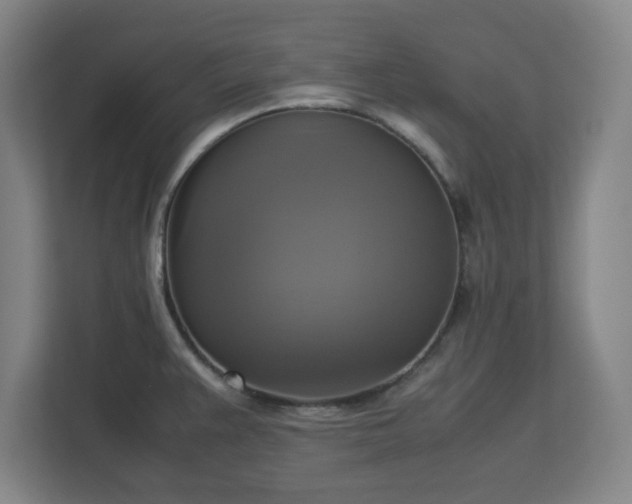 X0000113111383200909041237