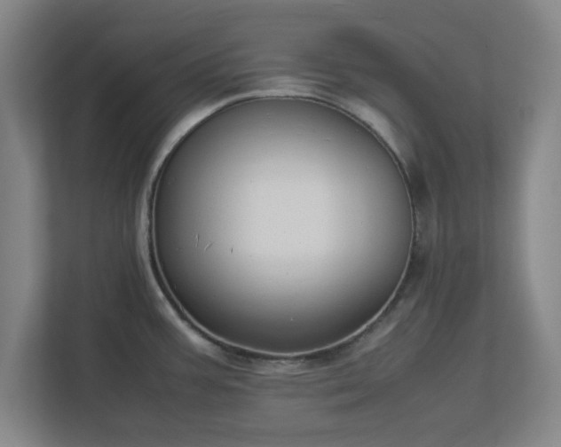 X0000113111387200909041237