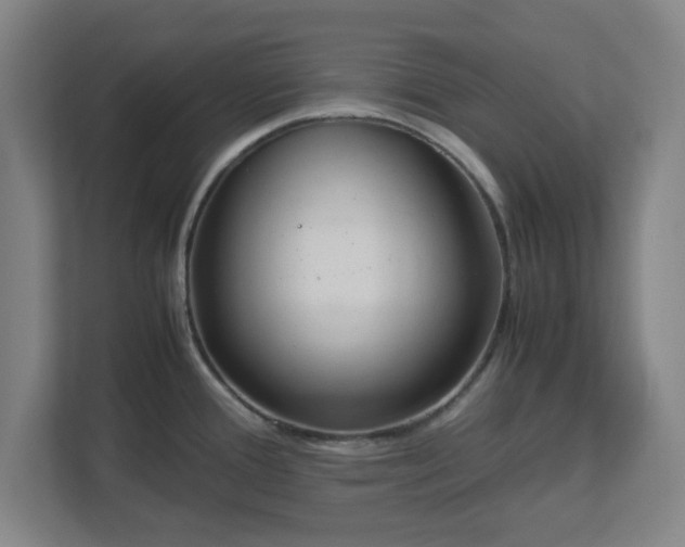 X0000113111388200909041237