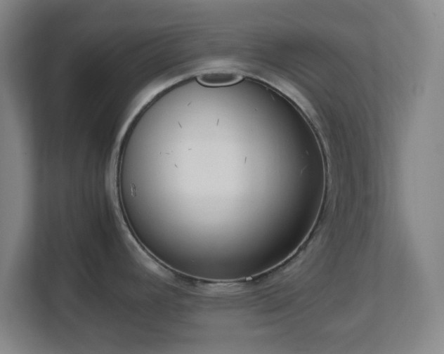 X0000113111392200909041237