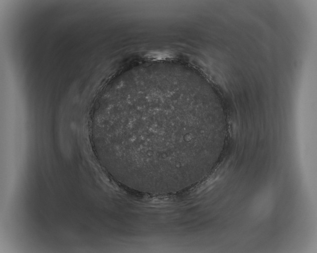 X0000113111393200909041236