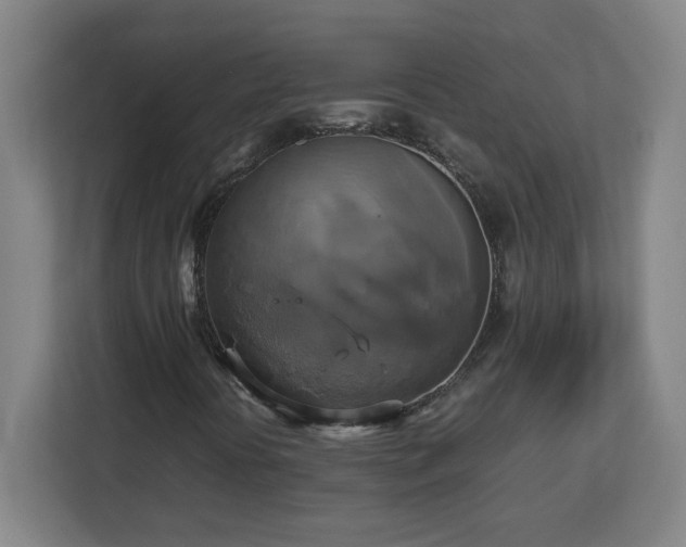 X0000113111394200909041237