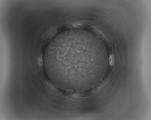 X0000113111395200909041237