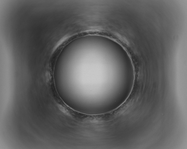 X0000113111400200909041237