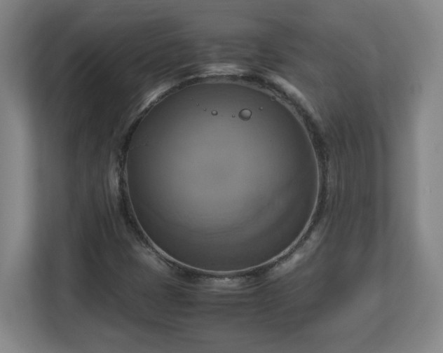 X0000113111401200909041237
