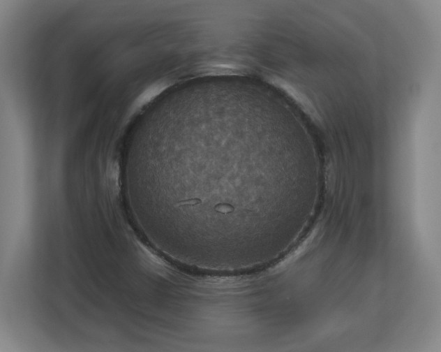 X0000113111402200909041237