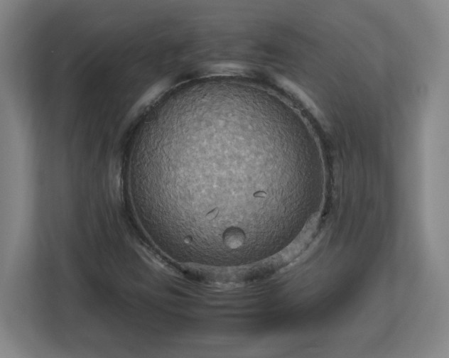 X0000113111403200909041237