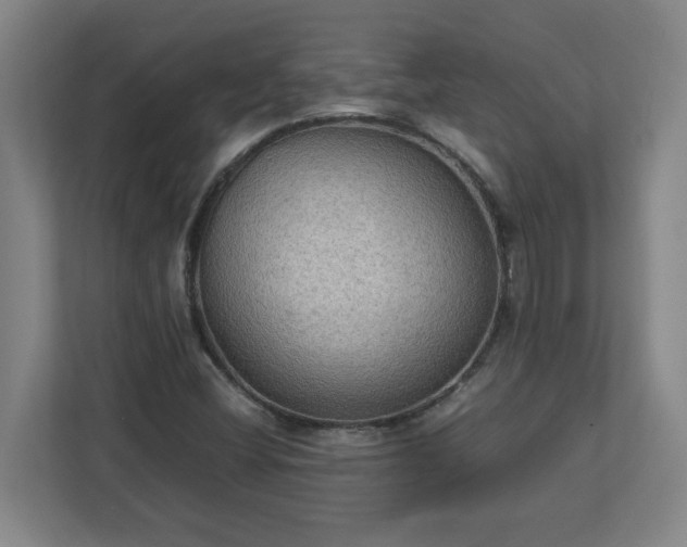 X0000113111404200909041237