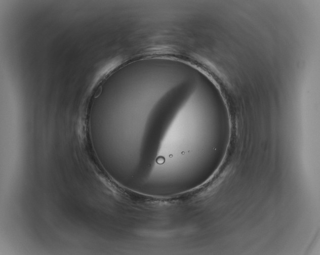 X0000113111405200909041237