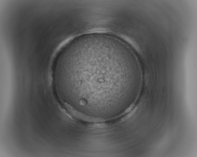 X0000113111406200909041237
