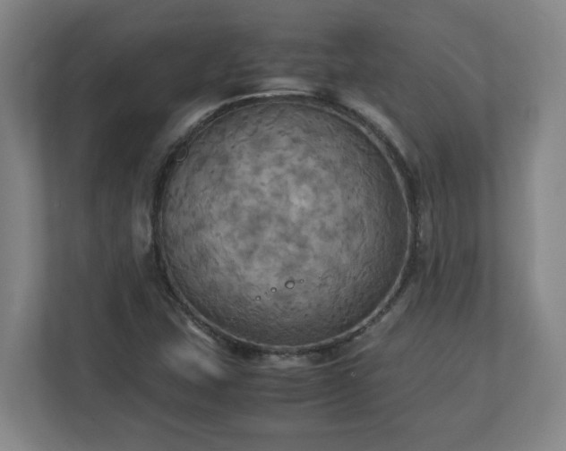 X0000113111407200909041237