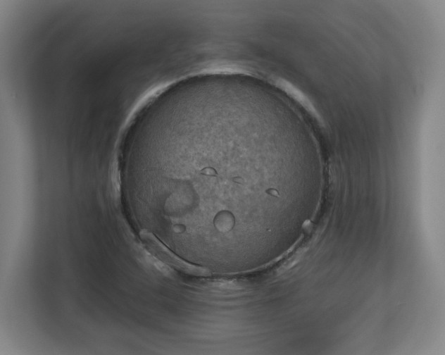 X0000113111408200909041237