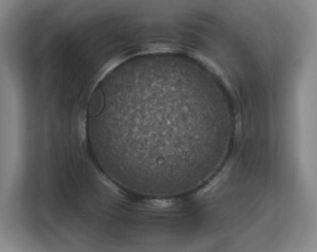 X0000113111409200909041237