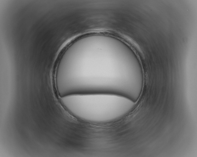 X0000113111412200909041237