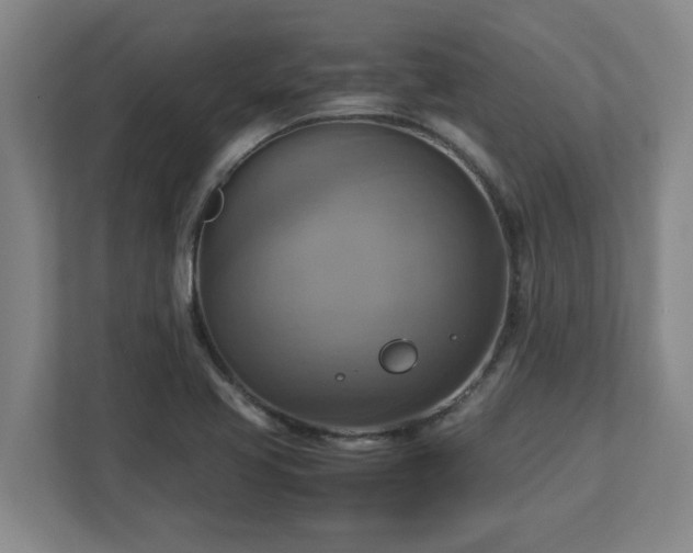X0000113111413200909041237