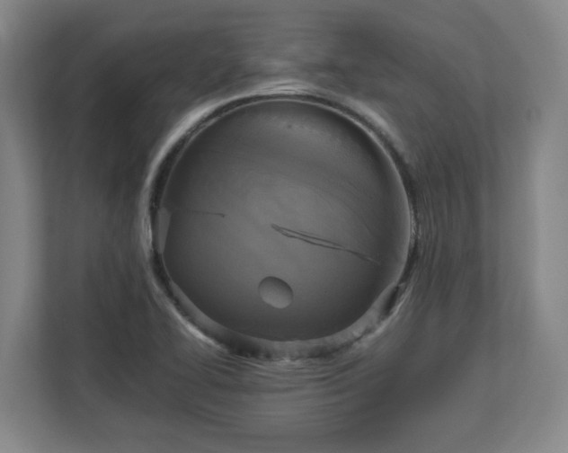 X0000113111414200909041237