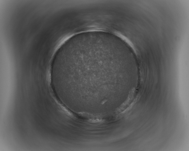 X0000113111415200909041237