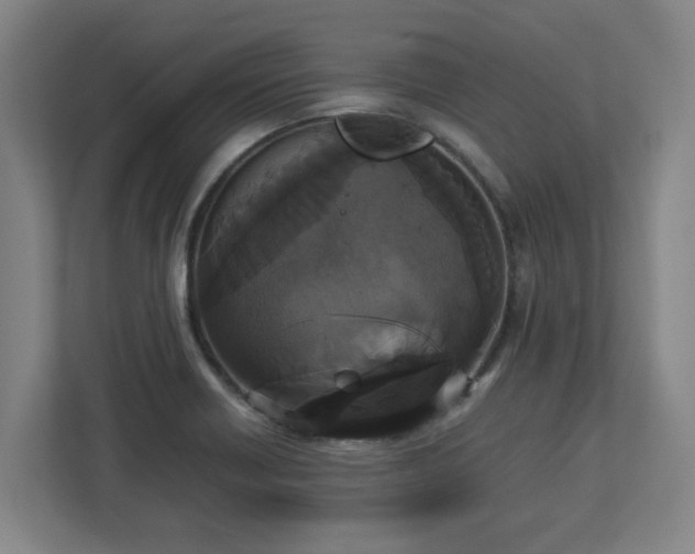 X0000113111418200909041237