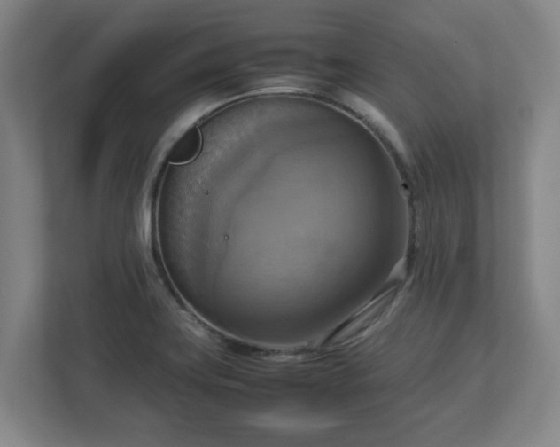 X0000113111419200909041237