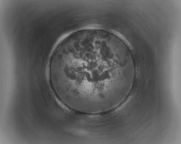 X0000113111421200909041237