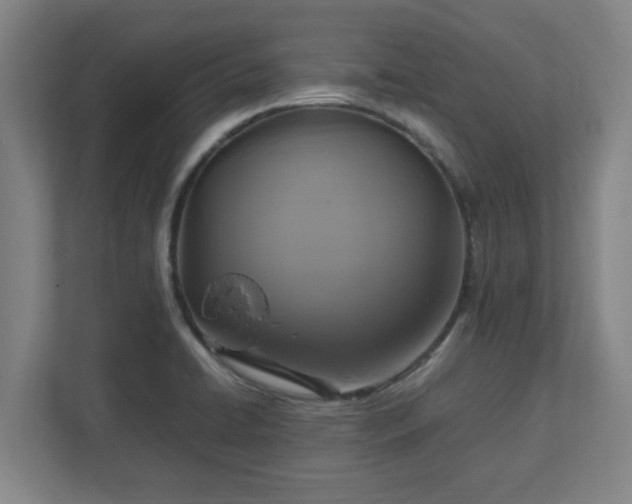 X0000113111422200909041237