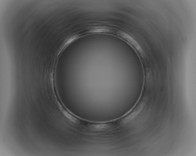 X0000113111425200909041237