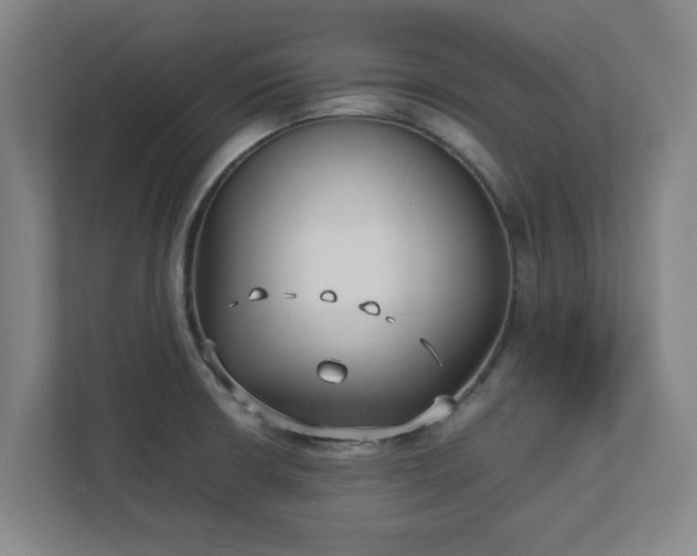 X0000113111426200909041237