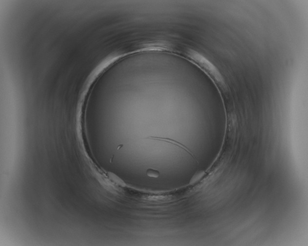 X0000113111427200909041237