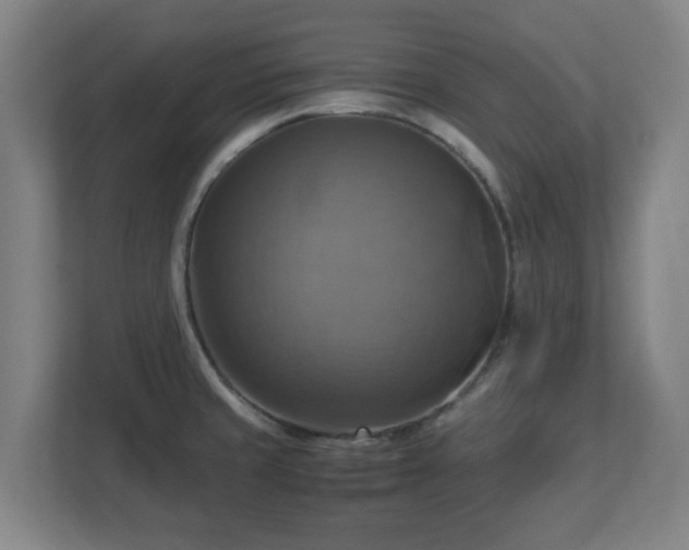X0000113111429200909041237