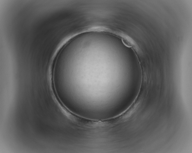 X0000113111430200909041237