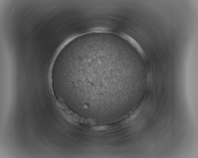X0000113111435200909041237