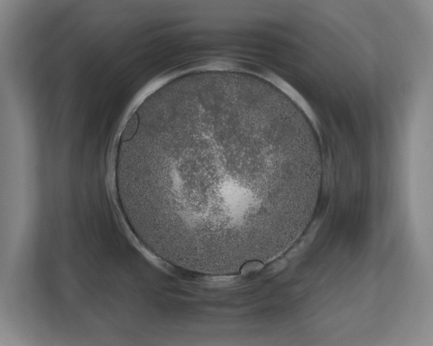 X0000113111437200909041237