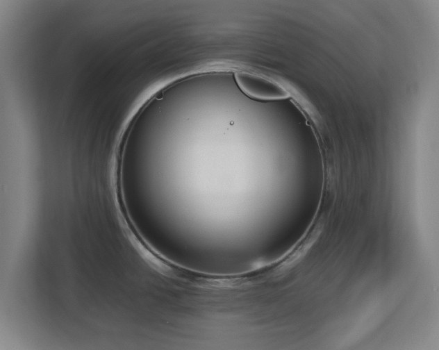 X0000113111438200909041237