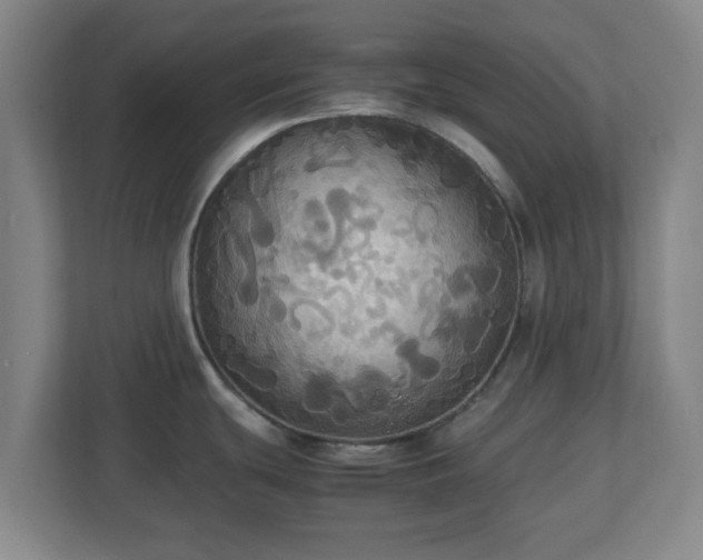 X0000113111439200909041237