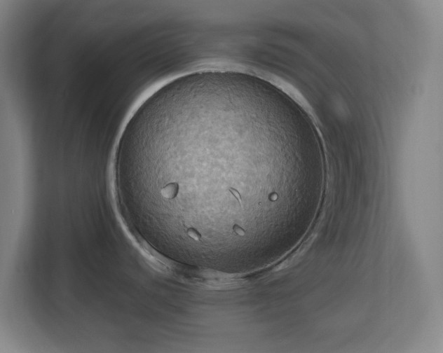 X0000113111440200909041237