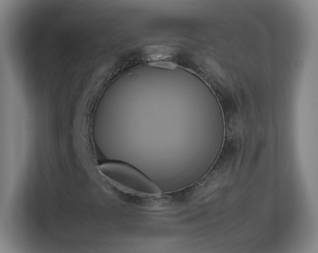 X0000113111441200909041236
