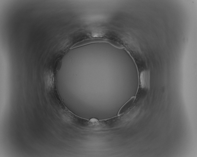 X0000113111443200909041236