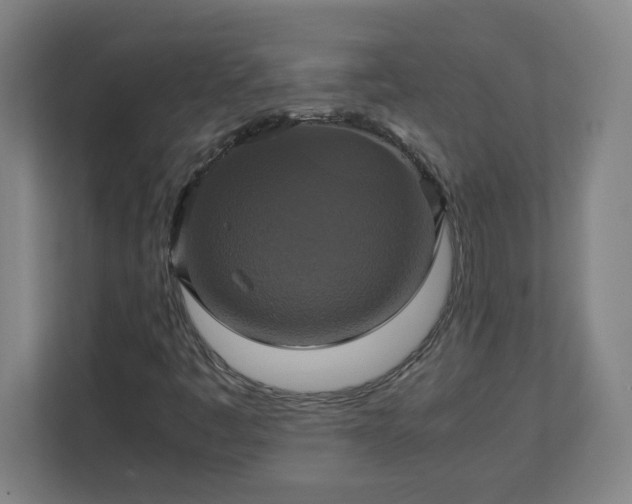 X0000113111445200909041236