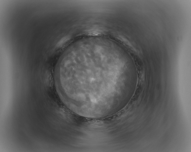 X0000113111446200909041236