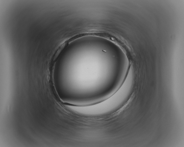 X0000113111449200909041236