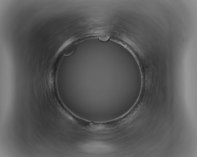 X0000113111450200909041236